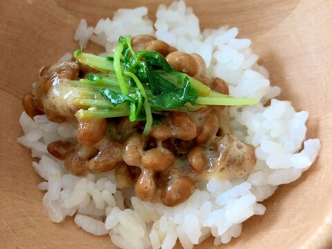 豆苗と納豆のご飯★